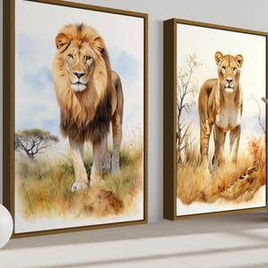 two framed paintings of lions, one on the left and one on the right, both depicting lions in a grassy field.