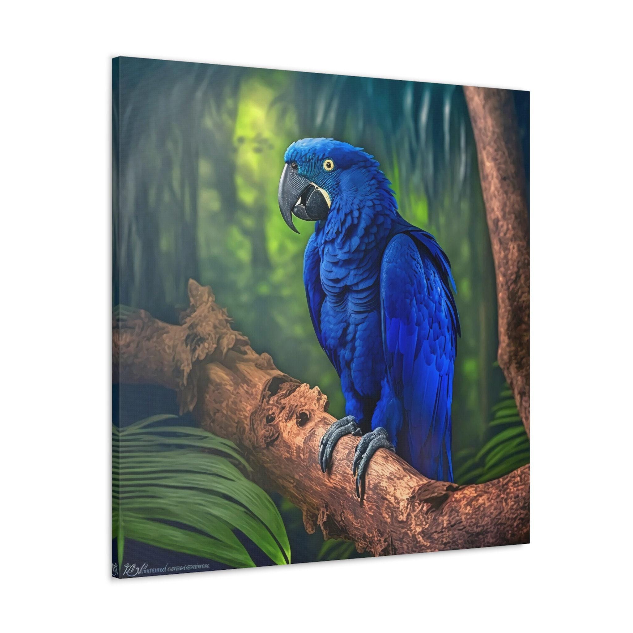 Hyacinth Macaw Parrot Painting Canvas Print Hyacinth Parrot Wall
