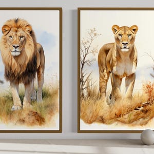 two framed paintings of lions, one standing and one walking, set against a natural landscape with grass and trees.