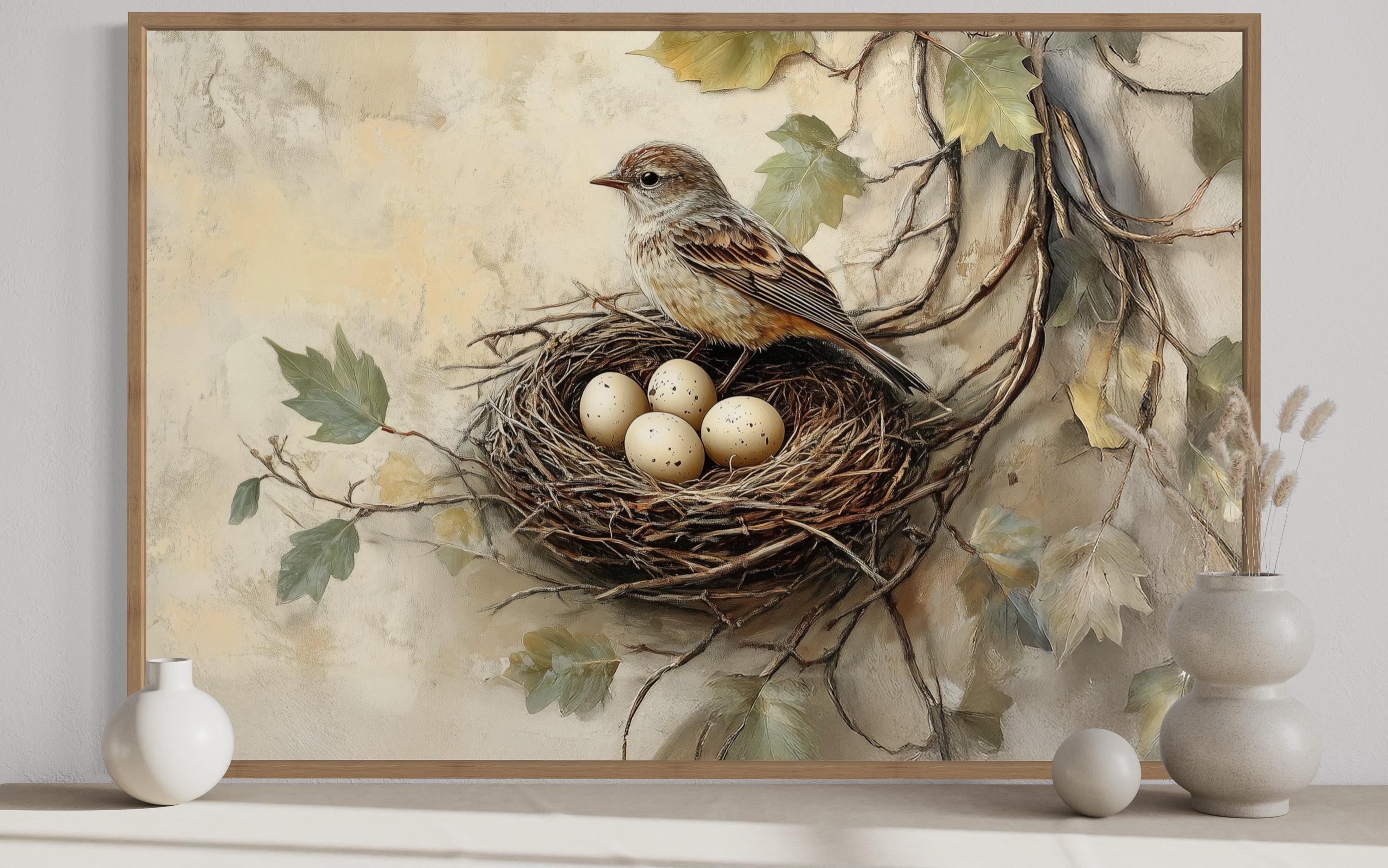 Monalisa Odia Movie Biography Akshy Kumar Ful Akshay Kumar Full