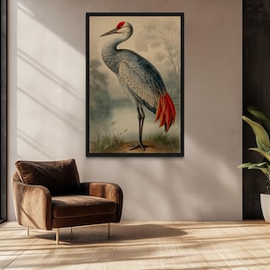 Sandhill Crane Wall Art, Vintage Bird Portrait Painting Canvas Print, Framed Ready To Hang
