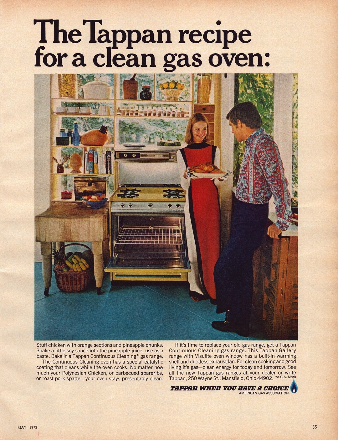 1972 Tappan Continuous Cleaning Gas Oven Vintage Print Ad Etsy