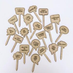 May include: A collection of wooden plant markers with various humorous phrases etched onto them. The markers are light brown and shaped like speech bubbles and signs. Phrases include "I forgot", "Ignore Me", and "Thirsty Bitch".
