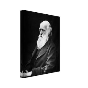 Charles Darwin - Canvas Print
