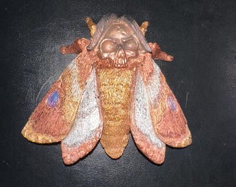 Giant Skull Moth