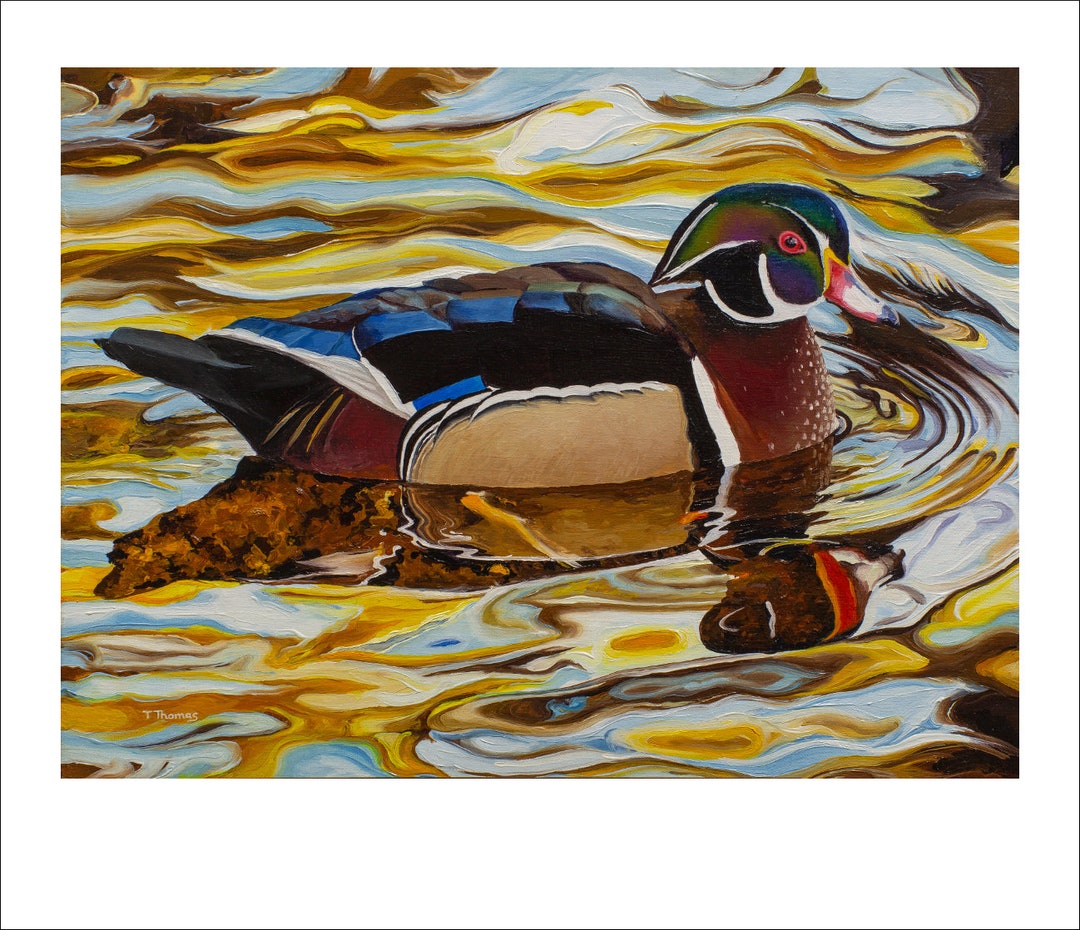 Wood Duck Print Handsigned Duck Hunting Etsy