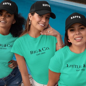 Big Little Shirts Sorority Reveal, Little and Co Shirt, Big Little Reveal, GBig Shirt, Big Little Shirt, Sorority Reveal Shirt