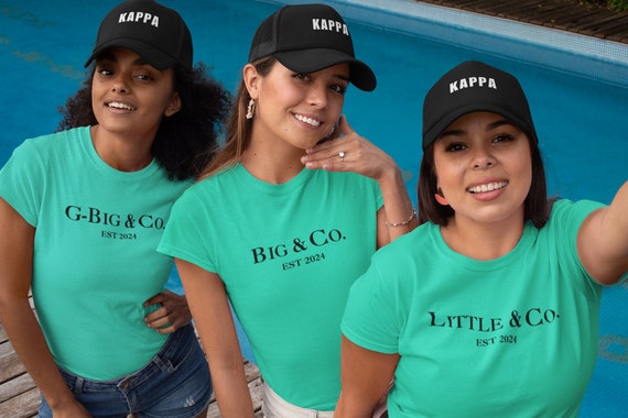Big Little Shirts Sorority Reveal, Little and Co Shirt, Big Little Reveal, GBig Shirt, Big Little Shirt, Sorority Reveal Shirt