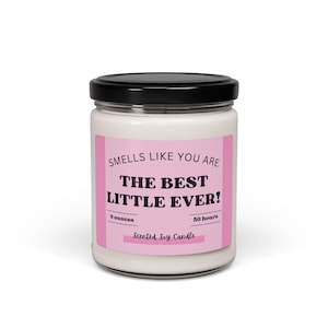 Big Little Reveal Gift, Big Little Reveal Candle, Sorority Big Little Gift, The Best Little, Greek Life Candle, Big Little Basket Stuffer image 3