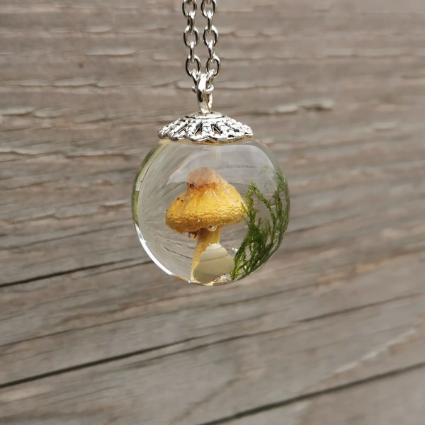 pendantSphere Mushroom Pendant, Real Mushroom in Eco Resin, Orb terrarium, Mushroom with Moss and Snail Shell, Round Transparent Mushroom