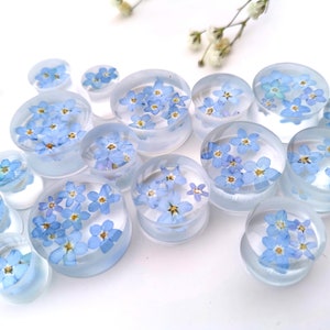 May include: A collection of clear acrylic ear gauges with blue forget-me-not flowers pressed inside. The gauges are various sizes and are arranged on a white surface.