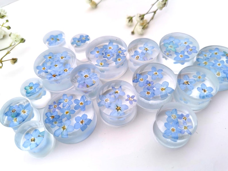 May include: A collection of clear acrylic ear gauges with blue forget-me-not flowers pressed inside. The gauges are various sizes and are arranged on a white surface.