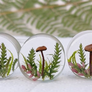 Mushroom Gauges, Double Flared plugs , Resin Plug with Mushroom and Moss, Moss Ear Tunnels, Mushroom Tunnels, Natural Plugs,  Moss Gauges