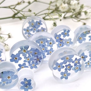 May include: A set of clear acrylic ear gauges with blue forget-me-not flowers pressed inside. The gauges are various sizes and are arranged on a white surface.