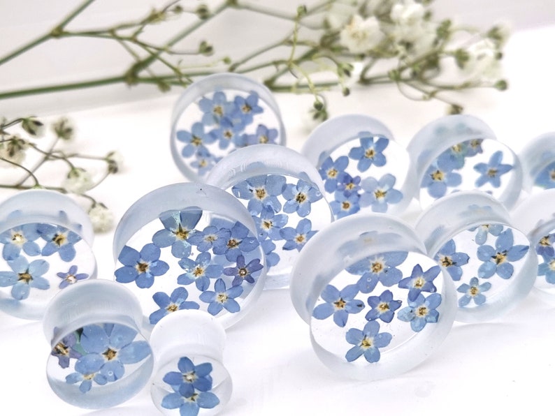 May include: A set of clear acrylic ear gauges with blue forget-me-not flowers pressed inside. The gauges are various sizes and are arranged on a white surface.