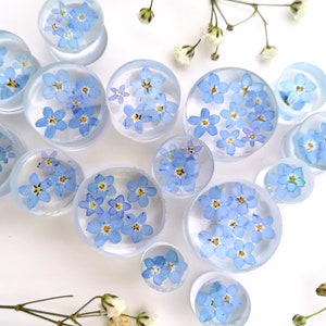 May include: Assortment of clear round resin plugs with pressed forget-me-not flowers. The plugs are various sizes and feature blue flowers.