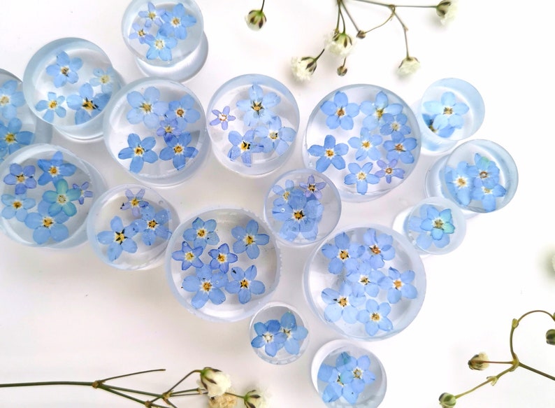 May include: Assortment of clear round resin plugs with pressed forget-me-not flowers. The plugs are various sizes and feature blue flowers.