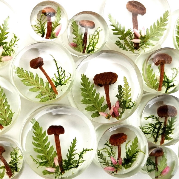 Real Mushroom Plug, Double Flare , Resin Plug with Mushroom and Moss, Forest Ear Plug, Mushroom Tunnels, Natural Plugs, Forest Lover Gauges