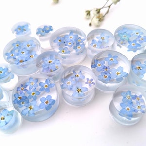 May include: A set of clear acrylic ear gauges with blue forget-me-not flowers pressed inside. The gauges are various sizes and are arranged on a white surface.