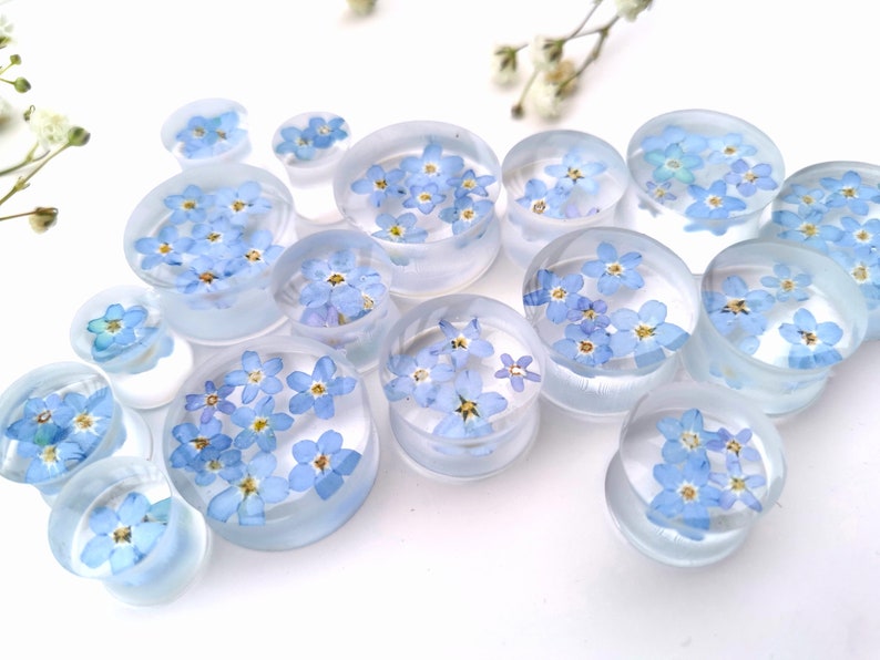 May include: A set of clear acrylic ear gauges with blue forget-me-not flowers pressed inside. The gauges are various sizes and are arranged on a white surface.