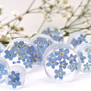 May include: A set of clear acrylic ear gauges with pressed forget-me-not flowers. The gauges are various sizes and feature blue flowers.