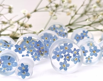 Real Pressed Forget Me Not Flower Plugs, medidores de bodas, tapones de nacimiento, túneles de flores, túneles de oído, tapones de resina, tapones de terrario transparentes