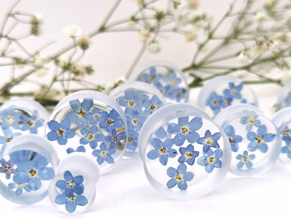 Real Pressed Forget Me Not Flower Plugs, Weddings Gauges, Birth Plugs, Flower Tunnels, Ear Tunnels, Resin Plugs, Transparent Terrarium Plugs