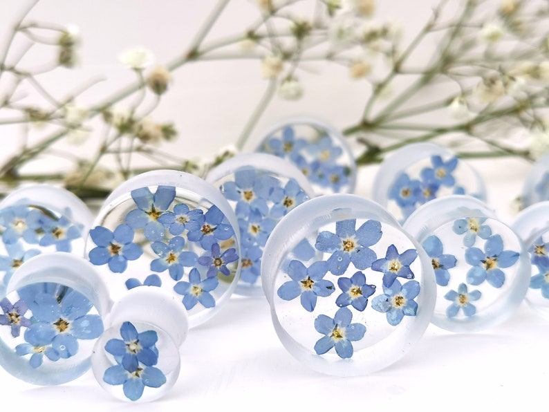 May include: A set of clear acrylic ear gauges with pressed forget-me-not flowers. The gauges are various sizes and feature blue flowers.