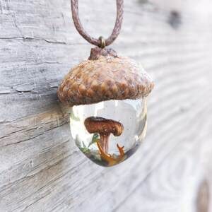 Acorn Jewelry, Fungi lover Pendant, Nature in resin, Resin Pendant, Forest Amulet, Fairy Pendant, Terrarium Necklace, Oak Pendant