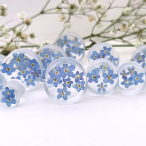 May include: Assortment of clear resin ear gauges with blue forget-me-not flowers pressed inside. The gauges are various sizes and are arranged on a white surface.