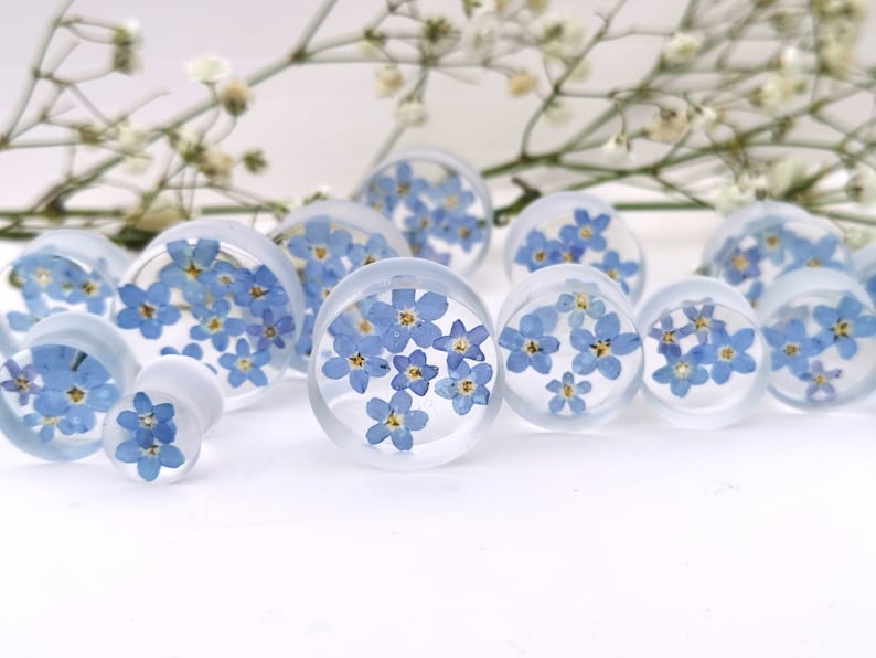 May include: Assortment of clear resin ear gauges with blue forget-me-not flowers pressed inside. The gauges are various sizes and are arranged on a white surface.