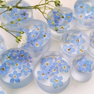 May include: A set of clear acrylic ear gauges with blue forget-me-not flowers pressed inside. The gauges are various sizes and are arranged on a white surface.