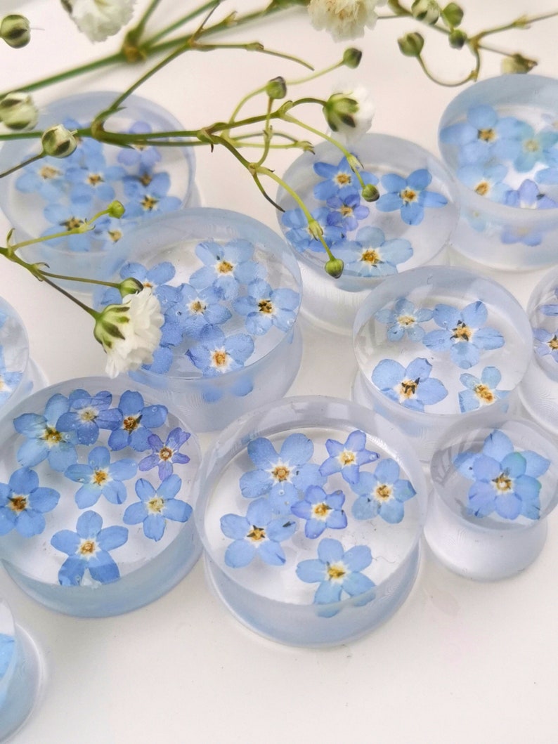 May include: A set of clear acrylic ear gauges with blue forget-me-not flowers pressed inside. The gauges are various sizes and are arranged on a white surface.