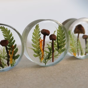 Real Mushroom Plug, Double Flare , Resin Plug with Mushroom and Moss, Forest Ear Plug, Mushroom Tunnels, Natural Plugs, Forest Lover Gauges