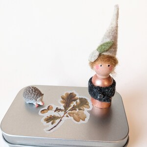 Pocket gnome home
