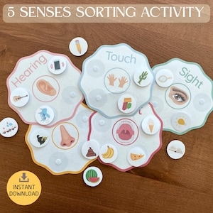 5 Senses Sorting Activity , Five Senses Printables, Homeschool Resource for Toddlers, Sort And Match, Busy Bag Activity, Preschoolers