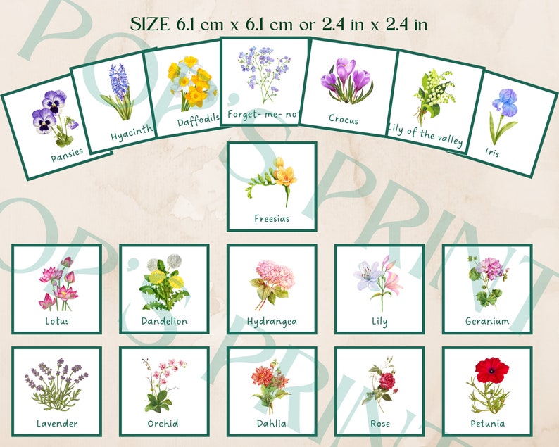 Flowers Memory Game Flashcardshomeschool Memory Etsy
