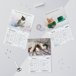2026 Cat Calendar 8.5x11 Funny & Cute Cats Monthly Wall Calendar, Printed Gift for Cat Lovers, Whimsical Feline Home Decor