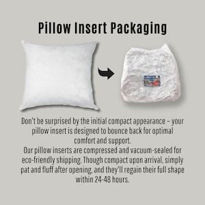 a pillow with a pillow insert and a pillow insert