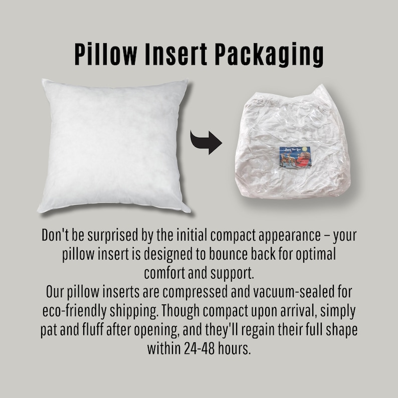 a pillow with a pillow insert and a pillow insert