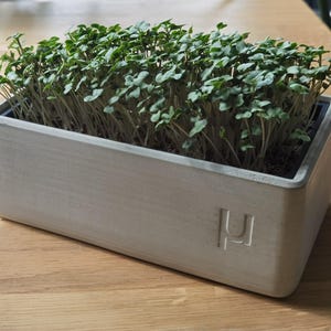 May include: A rectangular, light grey concrete planter filled with vibrant green microgreens. The planter has a minimalist design with a subtle embossed logo on the front. The microgreens are densely packed, creating a lush, textured appearance.