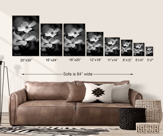Dogwood Flower Black and White Photo Print, Dark Moody Floral