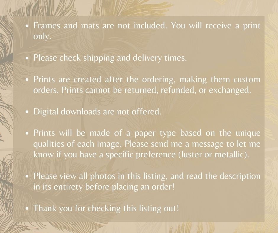 Hawk Rip Print Red-tailed Hawk Photography Print, Bird of Prey Photo, Wildlife Prints ...