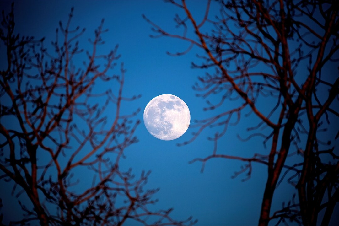 芸術写真 Nature Photograph Full Moon Art Print il_1080xN.5522841224_fjo8.jpg