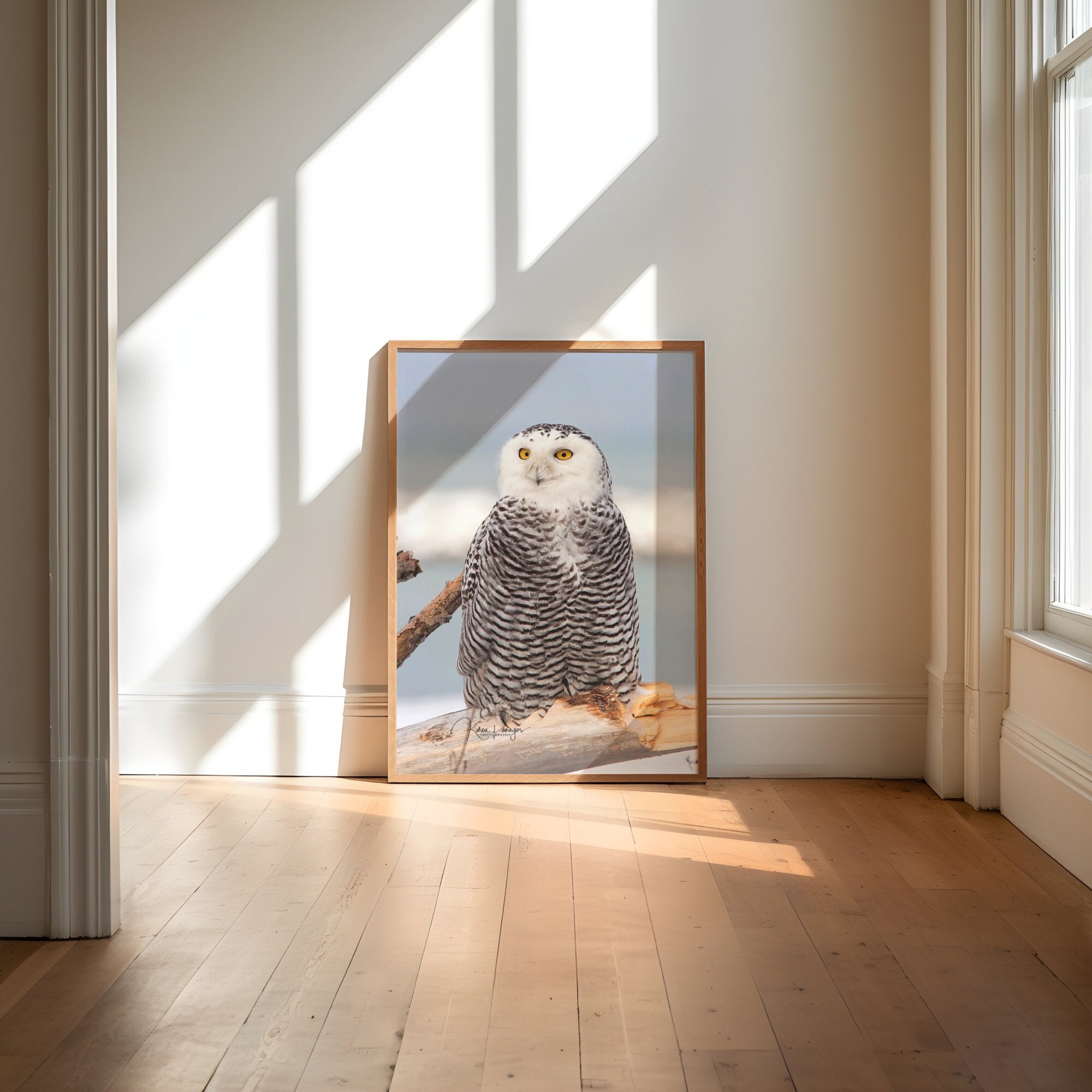 Snowy Owl Photo, Arctic Animal Photography, Winter Wall Art, White Owl Picture, Bird Photography, En