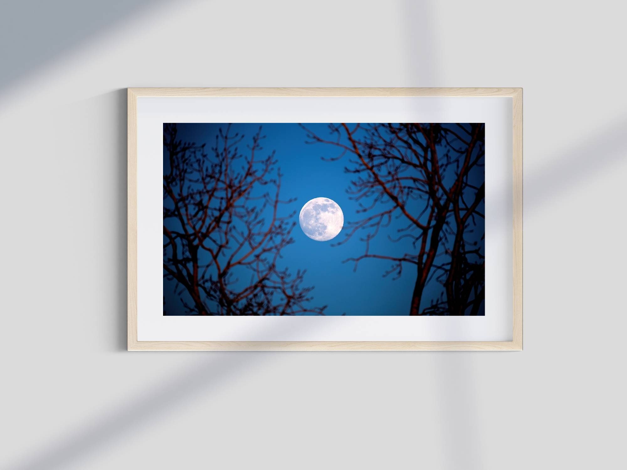 Full Moon Photography Print, Night Forest Sky Wall Art - Etsy