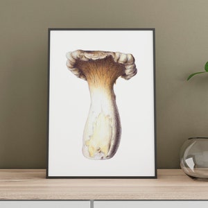 Botanical Print Download Colored Pencils Digital Wall Art DIY Green Plants Painting Handcrafted King Oyster Mushroom White Background Forest