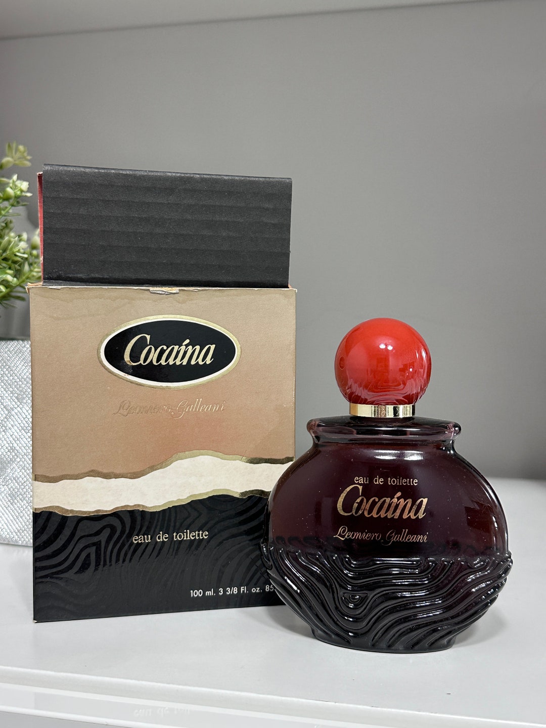Colonia massimo shop dutti woman antigua