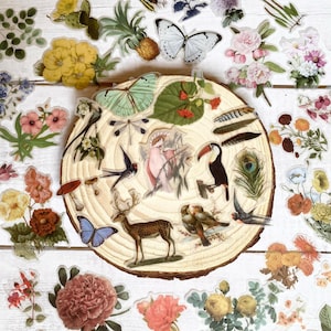 Paquete de 60 pegatinas de bosque, pegatinas de flores, pegatinas de plantas, pegatinas de animales para un kit de diario basura de estilo vintage para álbumes de recortes y diario