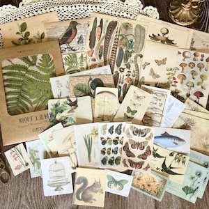 Natur-Thema Junk Journal Kit, große Kraftpapier Pack, Aufkleber, Ephemera, Vintage Journaling Papier, Scrapbook Papier, 36 Stück Junk Journal Zubehör